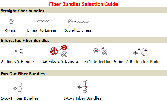 Multimode Silica Fiber Bundles