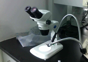 Microscope Cold Light Source