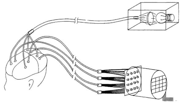 lNear-Infrared Fiber Optic Cable for fNIRS