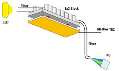 Fiber Optic For PCR Machine