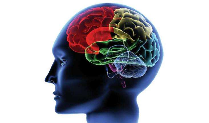 Optical Fibers For Near-Infrared Brain Imaging System