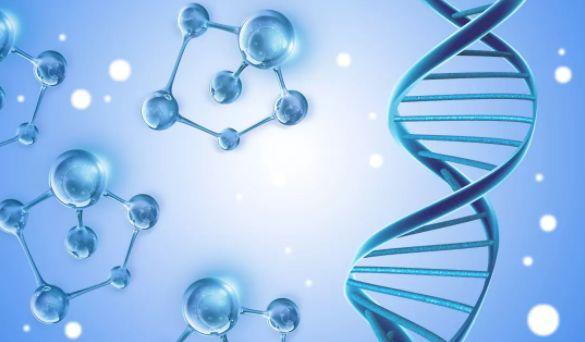 What is Real Time PCR & RT-QPCR